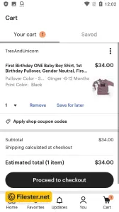 etsy-84293021.webp
